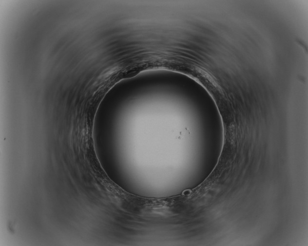 X0000091861111200709121324