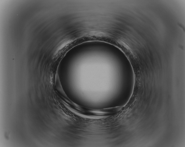 X0000091861112200709121324