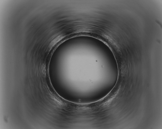 X0000091861113200709121324