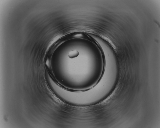 X0000091861114200709121324