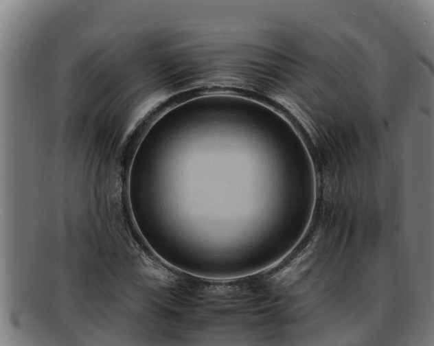 X0000091861115200709121324