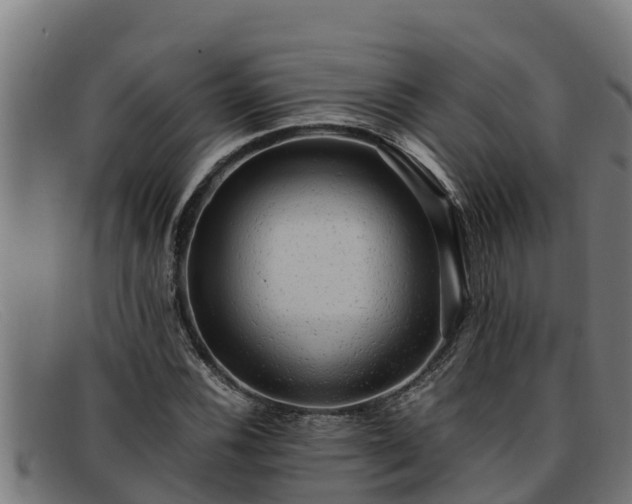 X0000091861116200709121324