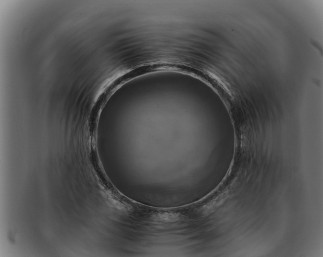 X0000091861117200709121324