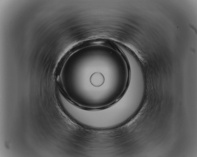 X0000091861118200709121324