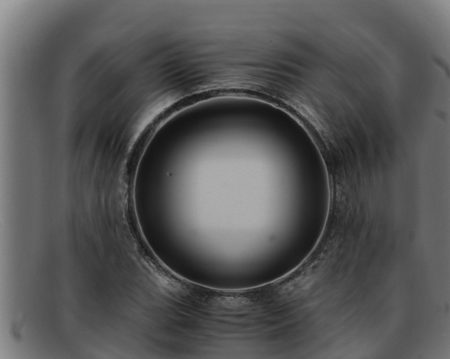 X0000091861119200709121324