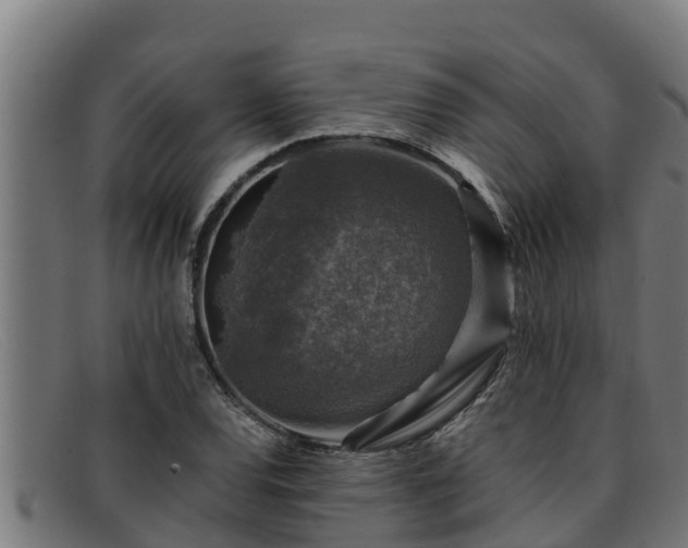 X0000091861120200709121324