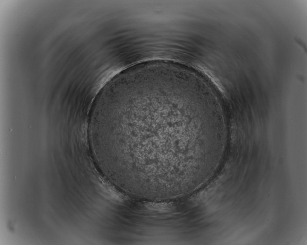 X0000091861121200709121324