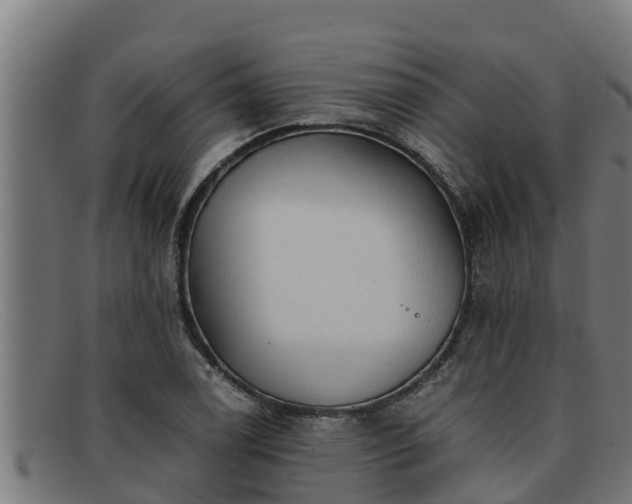 X0000091861122200709121324