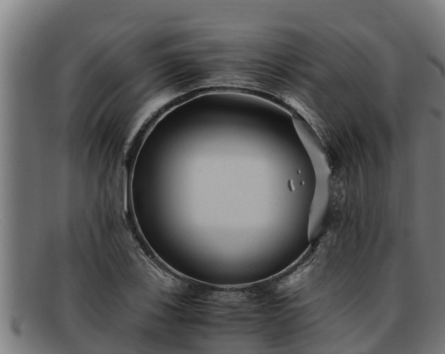 X0000091861123200709121324