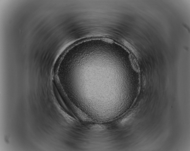 X0000091861124200709121324