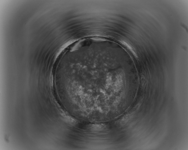 X0000091861125200709121324