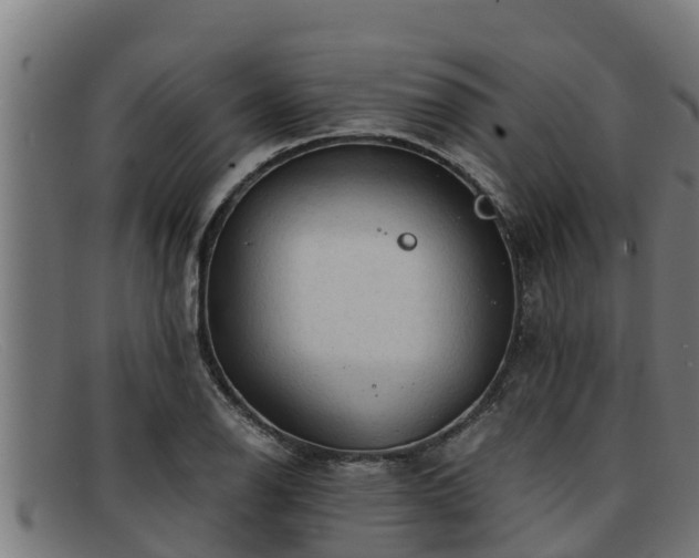 X0000091861126200709121324