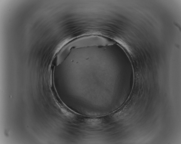 X0000091861127200709121324