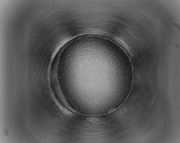 X0000091861128200709121324