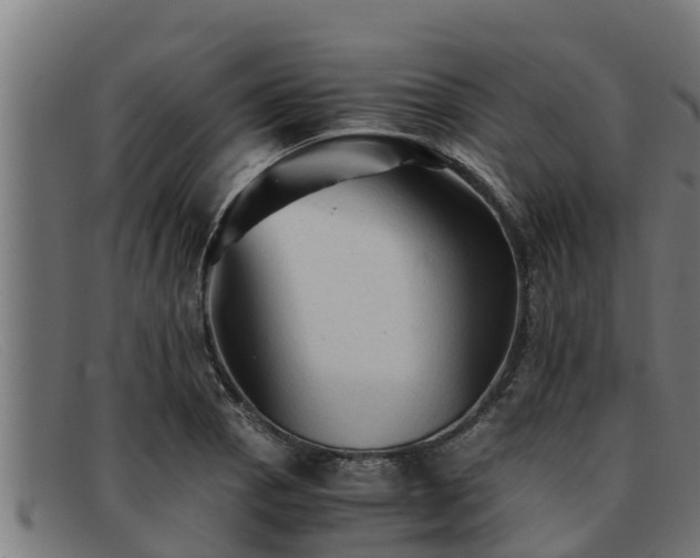 X0000091861129200709121325