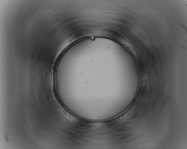 X0000091861130200709121325