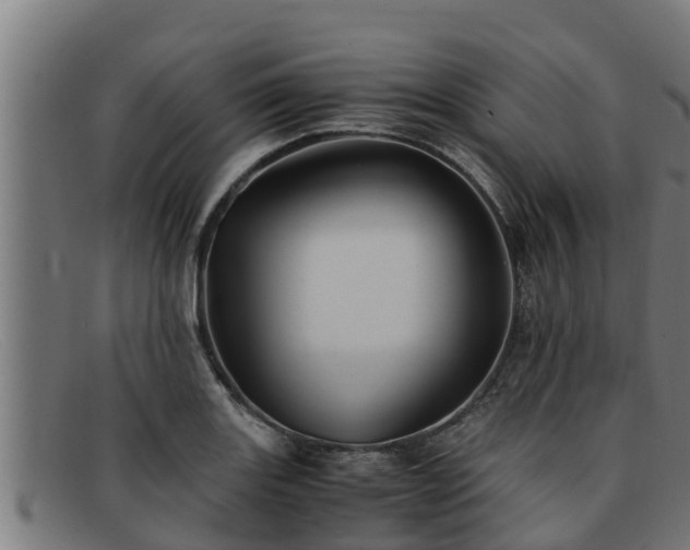 X0000091861131200709121325