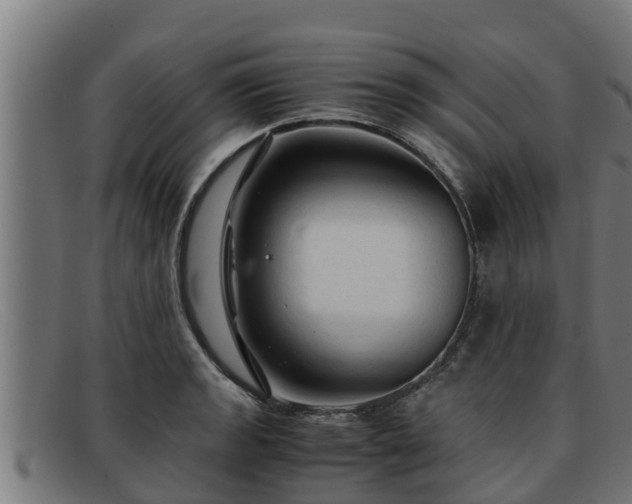 X0000091861133200709121325