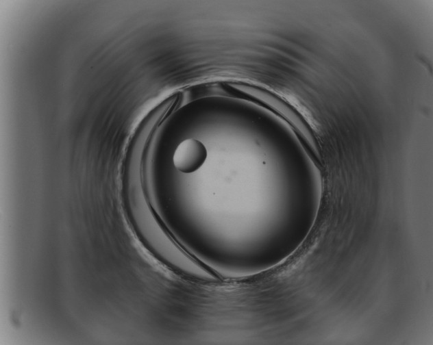 X0000091861134200709121325