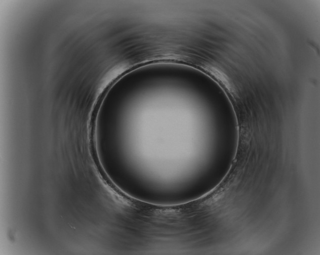 X0000091861135200709121325