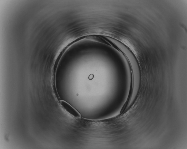 X0000091861136200709121325