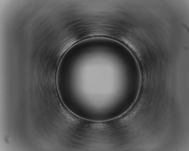 X0000091861137200709121325