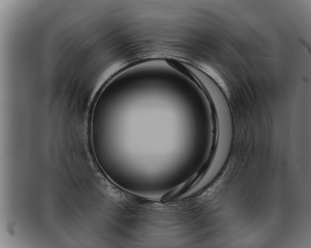 X0000091861138200709121325