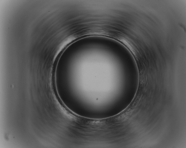 X0000091861139200709121325