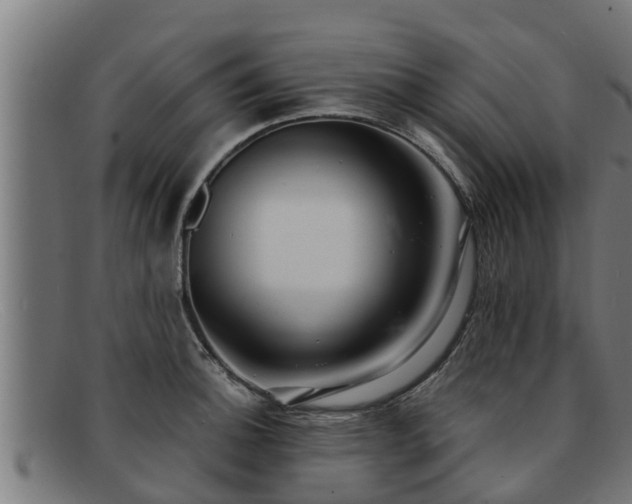 X0000091861140200709121325