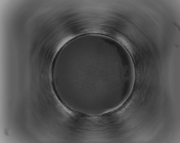 X0000091861141200709121325