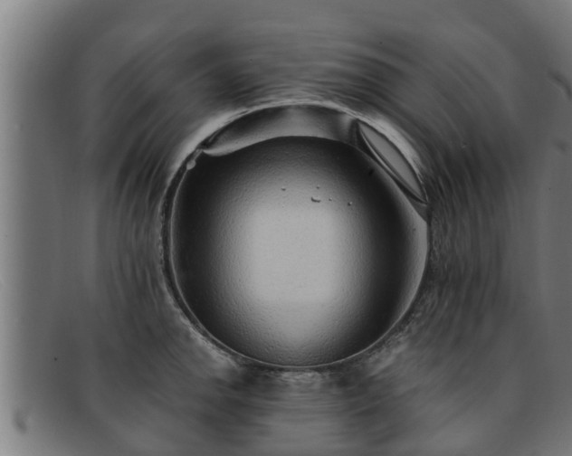 X0000091861142200709121325