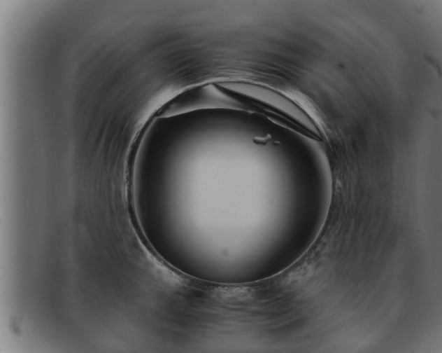 X0000091861143200709121325