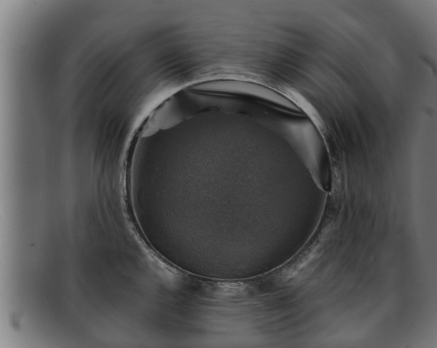 X0000091861144200709121325