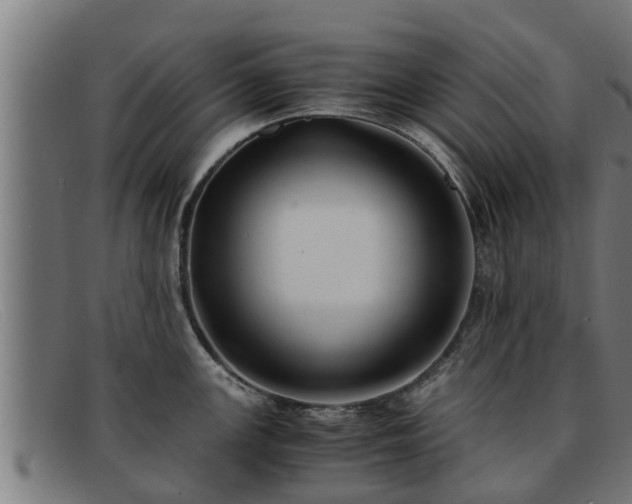 X0000091861147200709121325