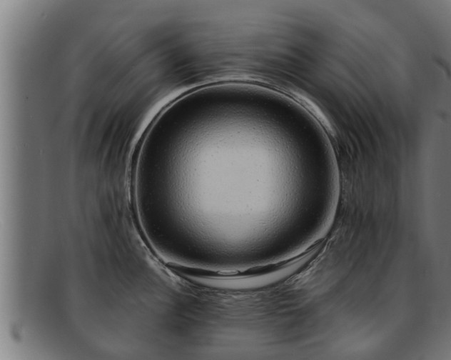 X0000091861148200709121325