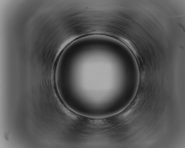 X0000091861149200709121325