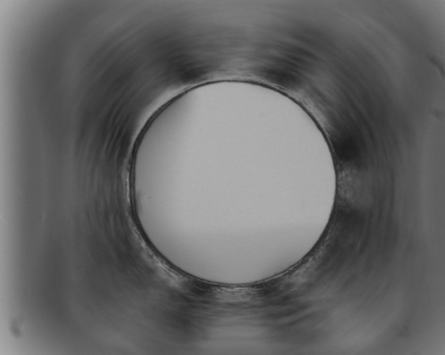 X0000091861150200709121325