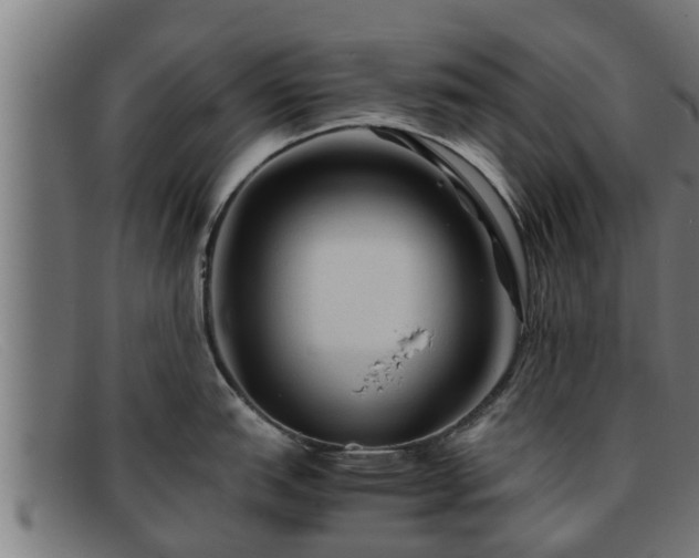 X0000091861151200709121325