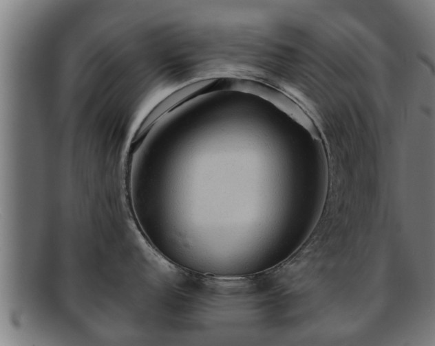 X0000091861152200709121325