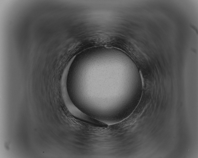 X0000091861153200709121324