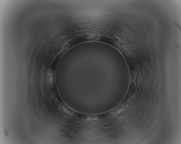 X0000091861154200709121324