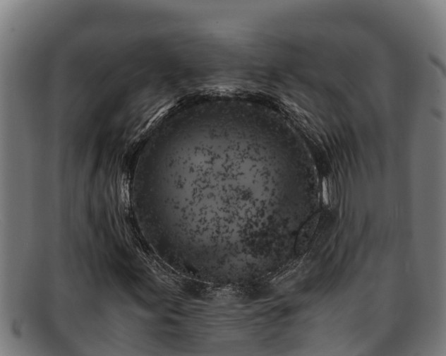 X0000091861155200709121324