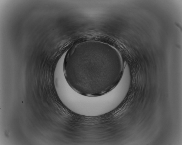 X0000091861156200709121324