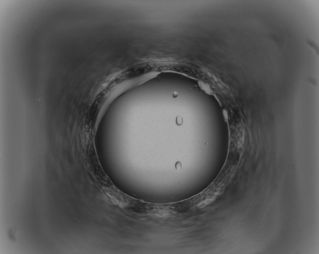 X0000091861157200709121324