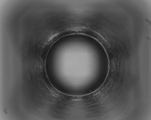 X0000091861158200709121324