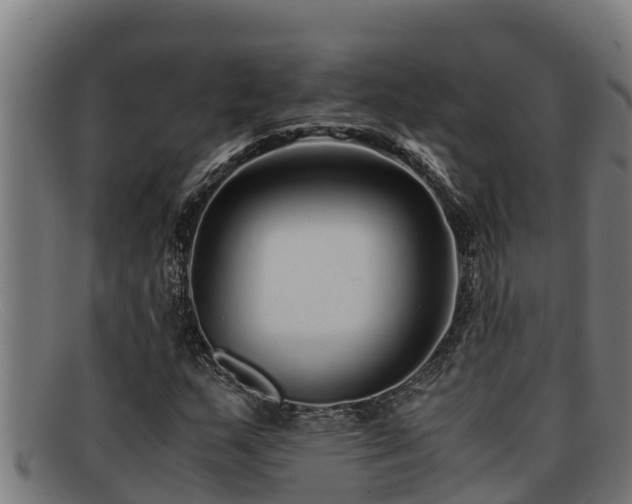 X0000091861159200709121324