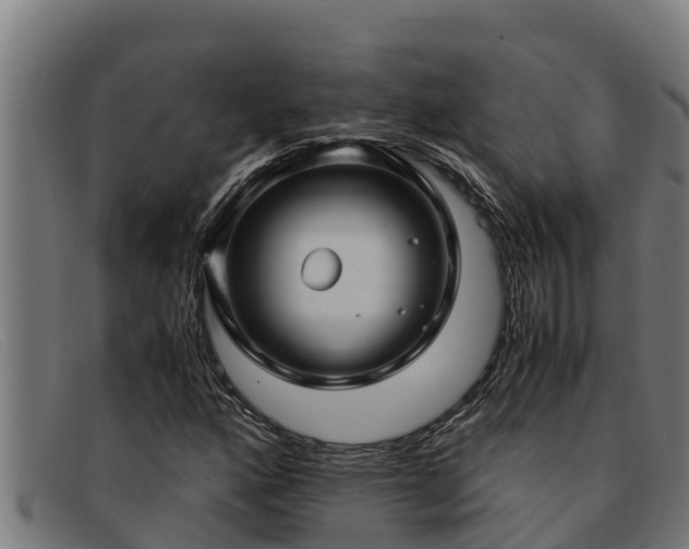 X0000091861160200709121324