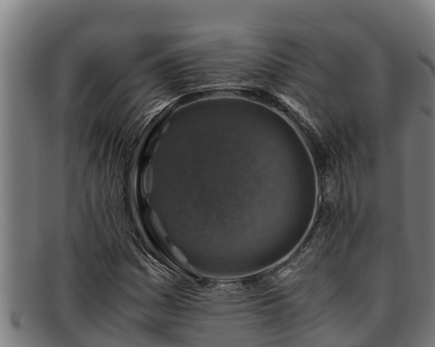 X0000091861161200709121324