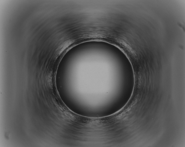 X0000091861162200709121324