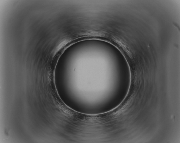 X0000091861163200709121324